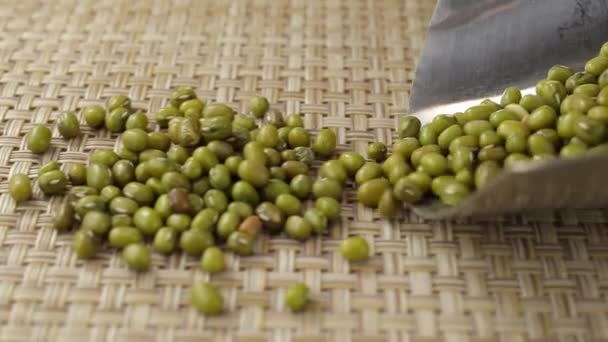 Graines Haricot Vert Asiatique Haricot Mungo Tombe Une Cuillère Métal — Video