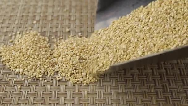 キノアの穀物は金属スクープ クローズアップから落ちる — ストック動画