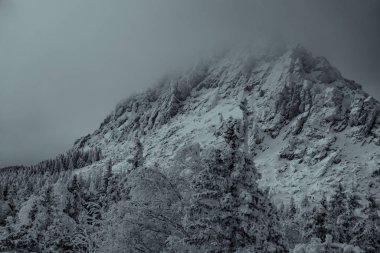 Taganay Ulusal Parkı. Otkliknoy Dağı tepesinde, kara bulutlar altında bir kış akşamı.