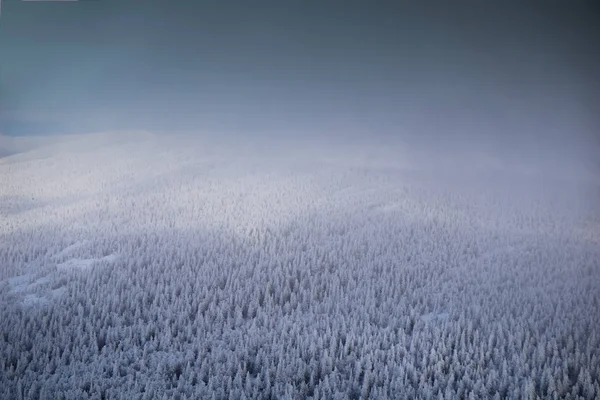 Ural Nubes Oscuras Sobre Bosque Ruso Invierno —  Fotos de Stock