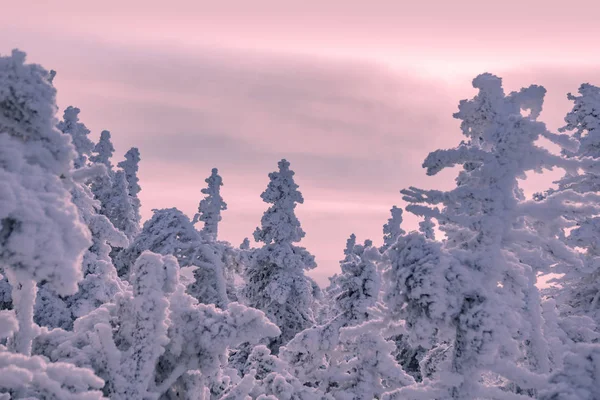 Ural Mountains Place Called Valley Fairy Tales Snow Covered Christmas — 스톡 사진