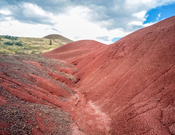 Brilliantly Colored Hills Riverbeds Scenic Painted Cove Trail John Day — Stock Photo, Image