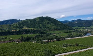 Chelan County Washington 'daki Peshastin Pinnacles Eyalet Parkı' ndaki atmosfer gibi çöldeki uğursuz kum taşı çıkıntıları