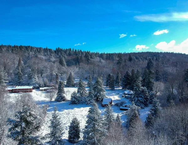 Снежный Зимний День Ярким Голубым Небом Кучевыми Облаками Лесу Региональном — стоковое фото