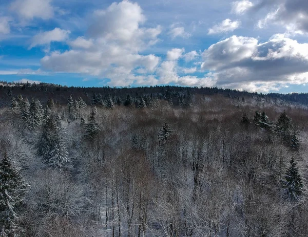 Snowy Zimowy Dzień Jasnym Błękitnym Niebem Chmurami Cumulus Leśnym Otoczeniu — Zdjęcie stockowe