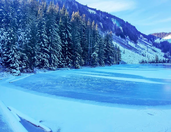 Заморожене Озеро Талапус Альпійському Озері Пустеля Снігу Вкритому Снігом Деревами — стокове фото