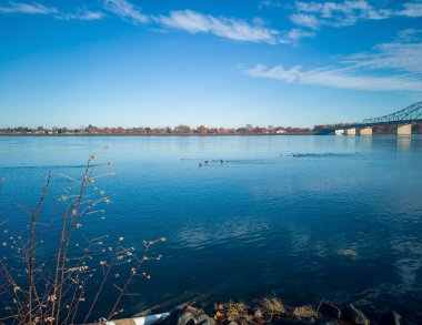 Columbia Nehri 'nde kanatlı ördekler mavi gökyüzü ve bulutlarla güneşli bir sabahta Kennewick-Pasco Washington' da