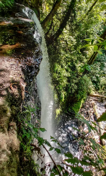 Sedutor Victor Falls Com Água Madeira Mergulhando Pés Riacho Raso — Fotografia de Stock