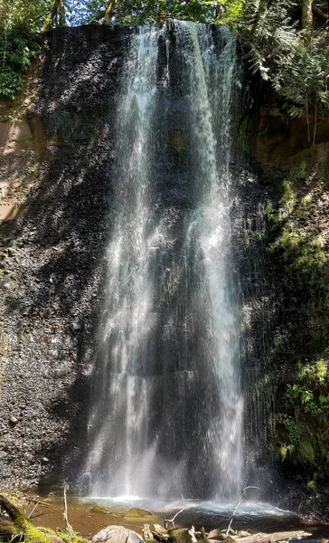 Δελεάζοντας Victor Falls Νερό Και Ξύλο Βυθίζοντας Πόδια Ένα Ρηχό — Φωτογραφία Αρχείου