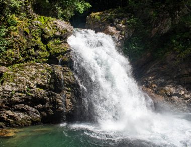 Darrington Snohomish eyaleti Washington 'da Dağ Döngü Otobanı' ndaki kayalık bir vadide Kuzey Çatal Sauk Nehri Şelalesi. 