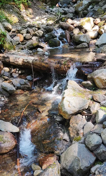 Cascatas Cintilantes Rochas Abundantes Rio North Fork Sauk Verão Largo — Fotografia de Stock