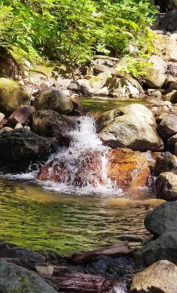 Cascades Chatoyantes Rochers Abondants Sur North Fork Sauk River Été — Photo