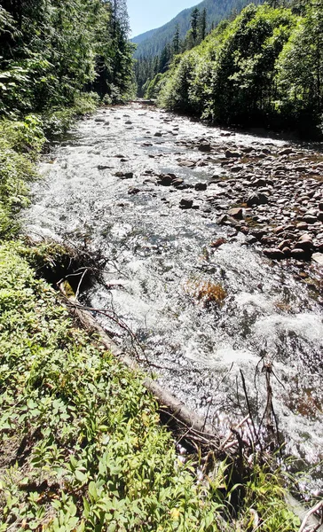 Cascadas Brillantes Rocas Abundantes Bifurcación Del Norte Sauk River Verano — Foto de Stock