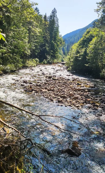 Cascadas Brillantes Rocas Abundantes Bifurcación Del Norte Sauk River Verano — Foto de Stock