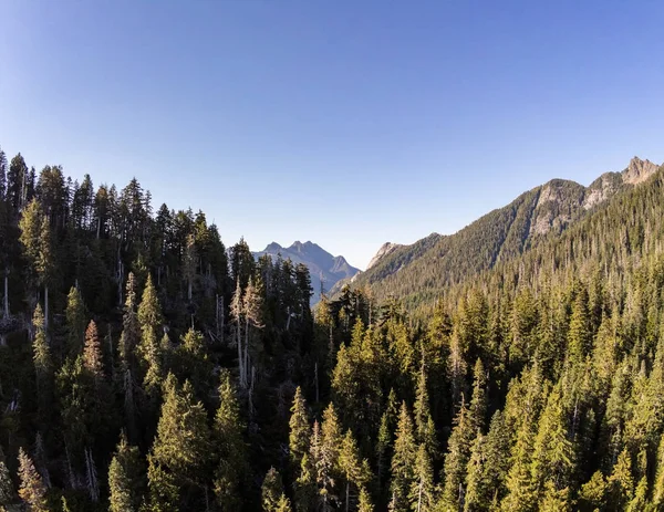 Zakazane Jezioro Kelcema Okoliczne Góry Drzewa Odbijają Się Zacienionej Wodzie — Zdjęcie stockowe
