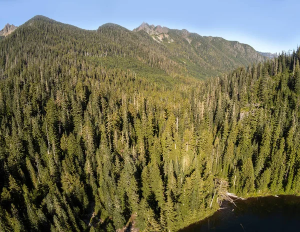 Osamělé Jezero Kelcema Okolní Hory Stromy Odrážející Stinné Vodě Jasného — Stock fotografie