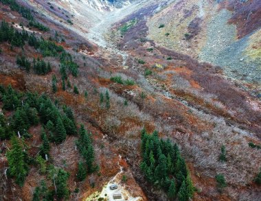 Washington 'daki donmuş Tundra ve bitki örtüsüyle Johannesburg Dağı' ndaki Cascade Geçidi 'ndeki vadideki gerçek üstü orman fotoğrafları.