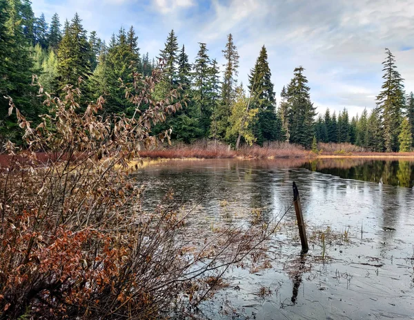 Medio Congelado Resort Creek Pond Con Árboles Reflejándose Agua Con — Foto de Stock