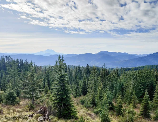 Zielone Drzewa Piękne Chmury Górskiej Scenerii Okanogan Wenatchee Narodowym Lesie — Zdjęcie stockowe