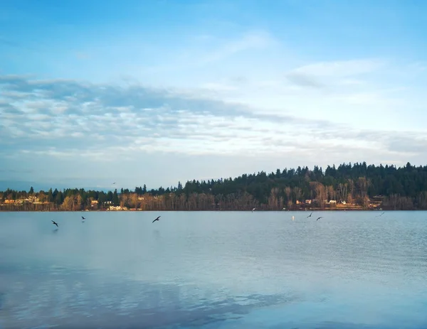 Lago Azul Con Aves Vuelo Cielo Con Nubes Fondo Montaña — Foto de Stock