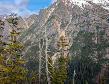 Washington 'un dışındaki North Cascade Ulusal Parkı' ndaki Washington Pass Overlook patikasından sonbaharda el değmemiş el değmemiş yabanda kar kaplı dağların ve alp ağaçlarının muhteşem manzarası.