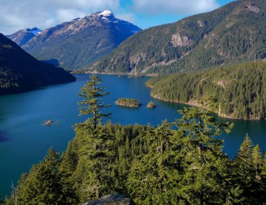 Emerald, Ross Gölü Ulusal Eğlence Bölgesi 'ni turuncu ve yeşil ağaçlarla donatmış. Dağlık bir arazide mavi gökyüzü ve sonbaharda bulutlar Washington eyaletindeki ulusal parkı kasıp kavuruyor.