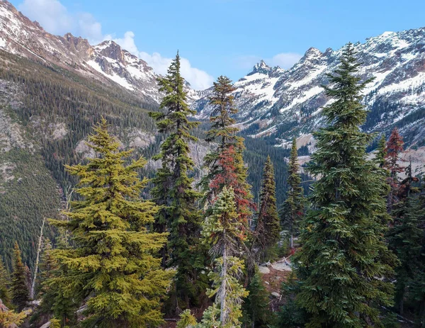 Magnificent Views Snow Capped Mountains Alpine Trees Pristine Wilderness Fall — Stock Photo, Image