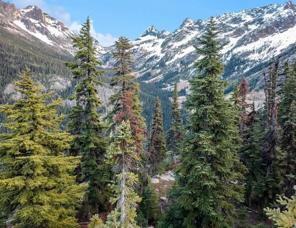 Magnificent Views Snow Capped Mountains Alpine Trees Pristine Wilderness Fall — Stock Photo, Image