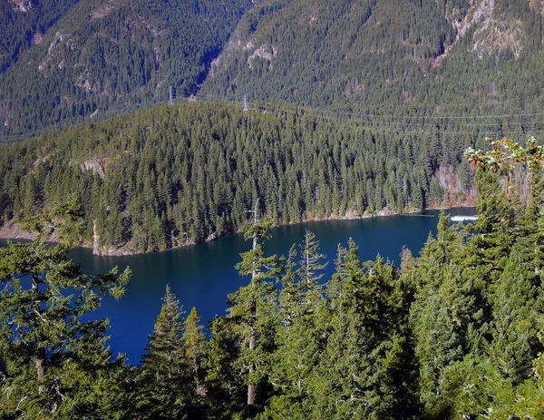 Emerald Kolorowy Ross Lake Narodowy Obszar Rekreacyjny Pomarańczowymi Zielonymi Drzewami — Zdjęcie stockowe