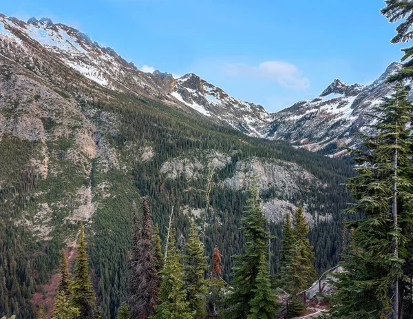 Великолепный Вид Заснеженные Горы Альпийские Деревья Нетронутой Дикой Местности Осенью — стоковое фото