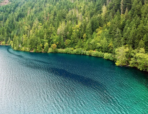 Crescent Gölü 'nün turkuaz renkli su ve yeşil ağaçlarla muhteşem hava fotoğrafçılığı. Beyaz bulutlar mavi gökyüzü botu kalkışı ve Port Angeles Washington dışındaki Olimpiyat Ulusal Parkı' ndaki adalar.