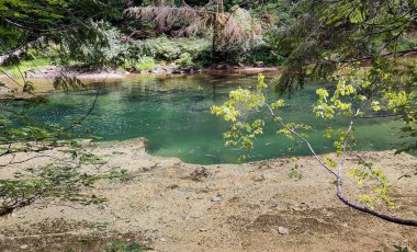 Emerald green pool and colorful leaves in the pristine rocky waters of the Lewis River in summertime Skamania County and the Gifford Pinchot National Forest in Washington State. clipart