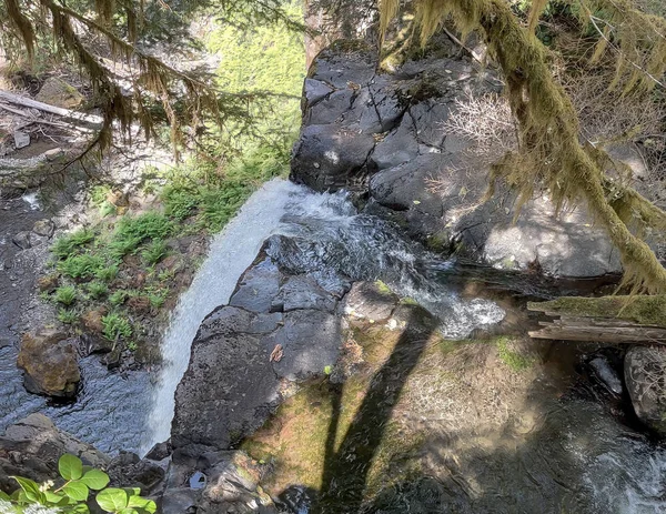 Mergulhando Big Creek Falls Verão Condado Skamania Com Vegetação Verde — Fotografia de Stock