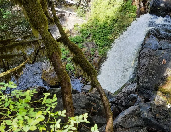 Menerjunkan Big Creek Falls Musim Panas Daerah Skamania Dengan Vegetasi — Stok Foto