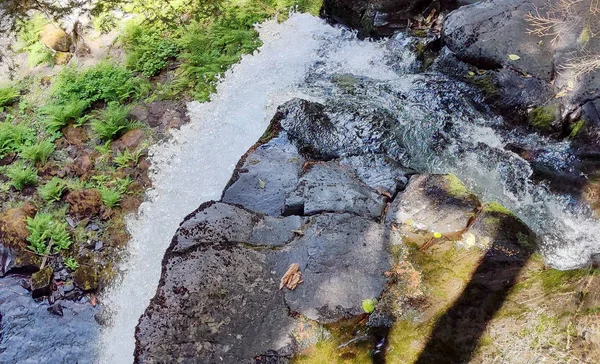 Plonger Big Creek Falls Été Comté Skamania Avec Une Végétation — Photo