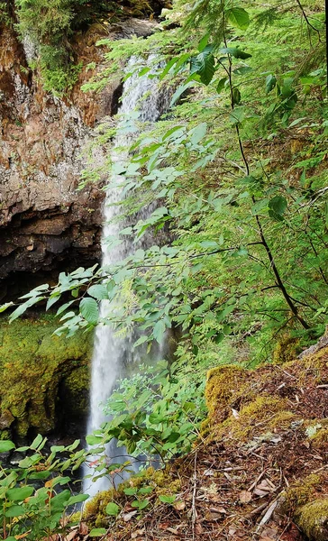 Βουλιάζοντας Big Creek Falls Καλοκαίρι Της Skamania Νομό Πράσινη Βλάστηση — Φωτογραφία Αρχείου