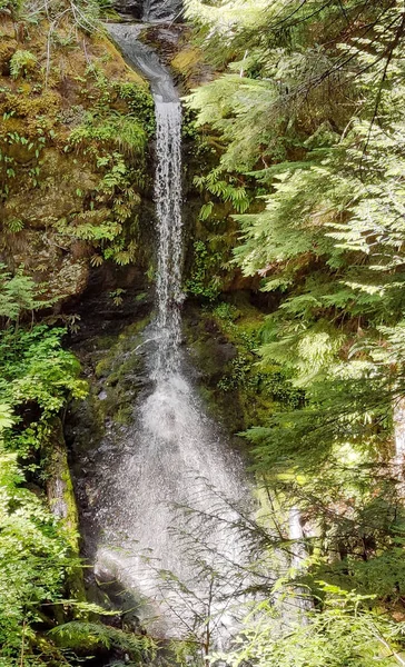 Εκπληκτική Cooper Creek Falls Βυθίζεται Ένα Βρύα Καλύπτονται Φαράγγι Στο — Φωτογραφία Αρχείου