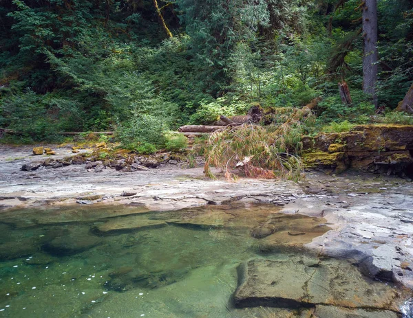 Emerald green pool and colorful leaves in the pristine rocky waters of the Lewis River in summertime Skamania County and the Gifford Pinchot National Forest in Washington State.