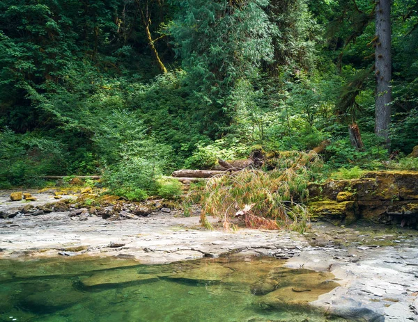 Emerald Green Pool Colorful Leaves Pristine Rocky Waters Lewis River — Stock Photo, Image