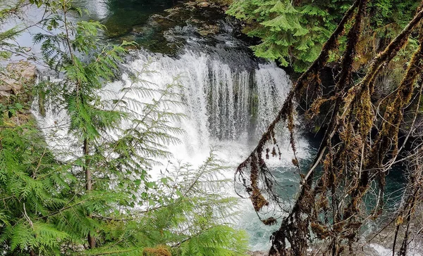 Imponerande Taitnapum Faller Med Stor Vattendelare Gifford Pinchot National Forest — Stockfoto