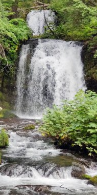 Breathtaking two tiered Twin Falls in a lush rainforest setting with rocks and boulders and clean mountain water cascading in the Gifford Pinchot National Forest Skamania County Washington State clipart