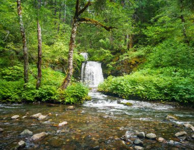 Breathtaking two tiered Twin Falls in a lush rainforest setting with rocks and boulders and clean mountain water cascading in the Gifford Pinchot National Forest Skamania County Washington State clipart