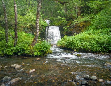 Gifford Pinchot Ulusal Ormanı Skamania Eyaleti Washington Eyaleti 'nde kayalar, kayalar ve temiz dağ suyuyla dolu verimli bir yağmur ormanında nefes kesici iki katmanlı ikiz şelale.