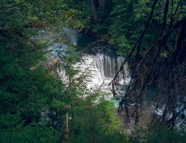 令人印象深刻的泰特那普姆陷落在Gifford Pinchot国家森林的一个巨大的分水岭中 周围环绕着刘易斯河斯卡马尼亚县的树木和树枝 — 图库照片