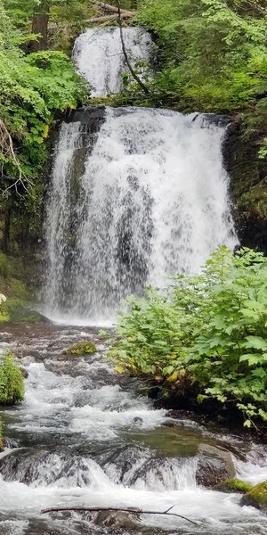 Gifford Pinchot Ulusal Ormanı Skamania Eyaleti Washington Eyaleti 'nde kayalar, kayalar ve temiz dağ suyuyla dolu verimli bir yağmur ormanında nefes kesici iki katmanlı ikiz şelale.