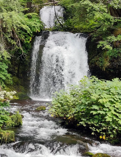 Εκπληκτικό Δύο Κλιμακωτά Twin Falls Ένα Καταπράσινο Τροπικό Δάσος Βράχια — Φωτογραφία Αρχείου