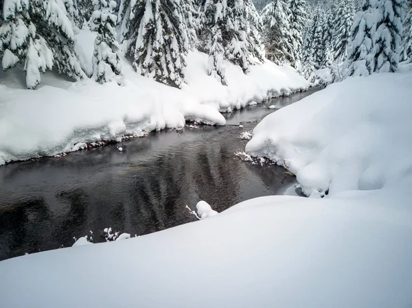 Hófödte Fagyasztott Gyönyörű Gold Creek Havas Fák Nyomvonal Tél Folyamán — Stock Fotó