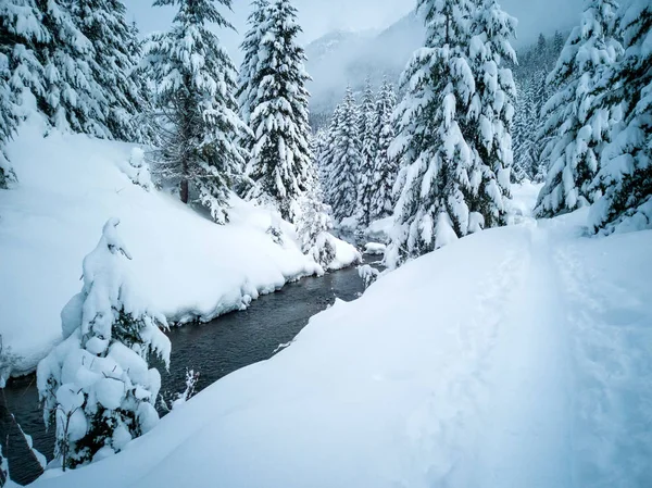 Hófödte Fagyasztott Gyönyörű Gold Creek Havas Fák Nyomvonal Tél Folyamán — Stock Fotó