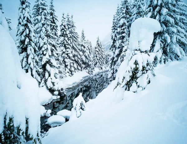 Sníh Pokryl Zamrzlé Krásné Gold Creek Rybník Zasněženými Stromy Stezka — Stock fotografie