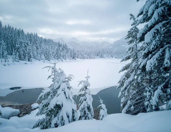 Snö Täckt Fryst Vacker Gold Creek Damm Med Snötäckta Träd — Stockfoto